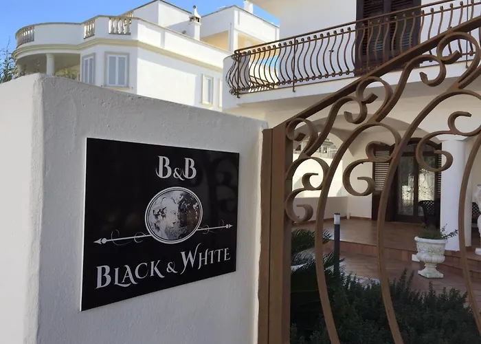 B&B Black-And-White